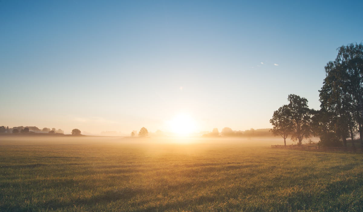 GettyImages-489976520 (1).jpg