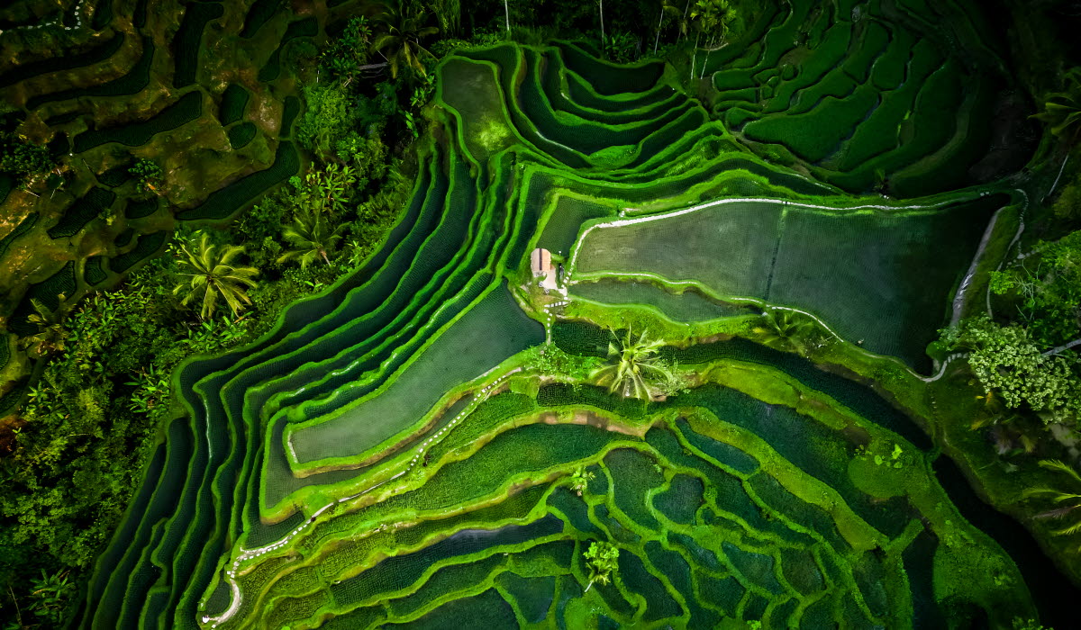 Indonesia.jpg