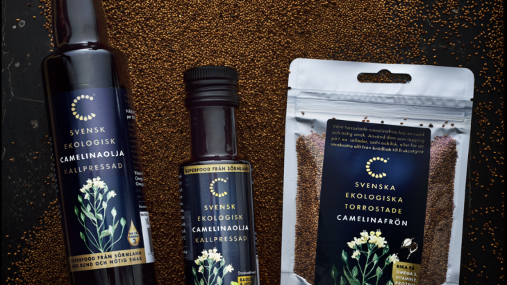 Camelina-of-Sweden-uppljusad1-1110x700