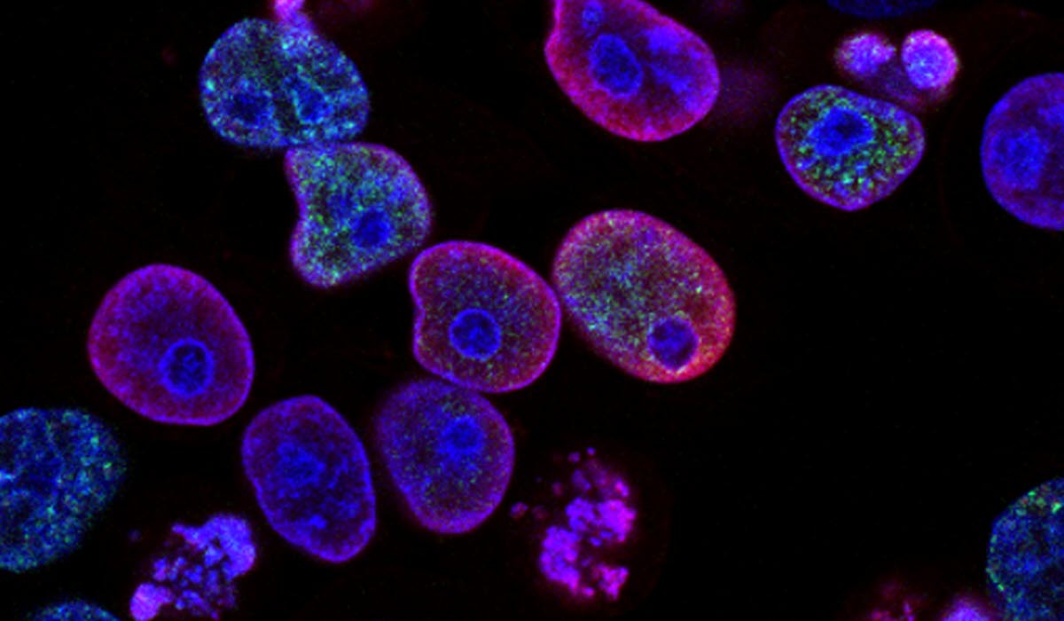 Precision medicine.jpg