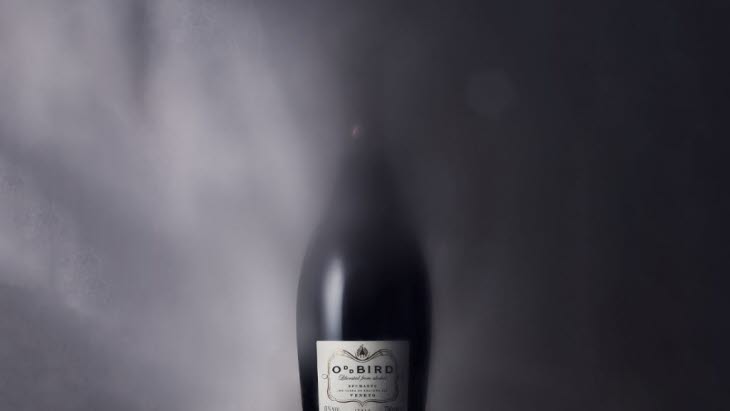 Oddbird-top-bild-1024x652