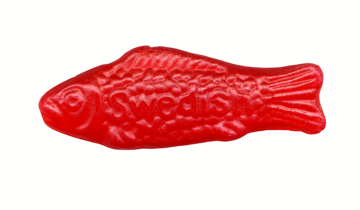 Try Swedish_ Jelly Fish.jpg