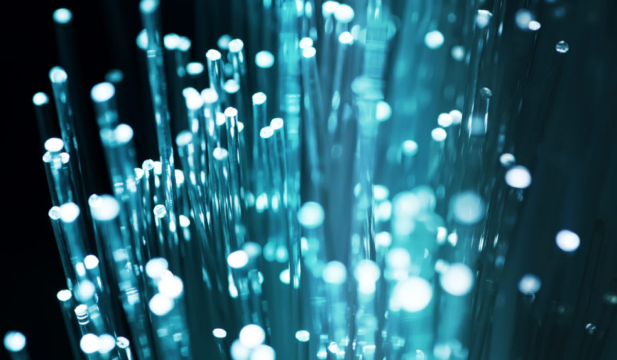 White Fibre Optics.jpg