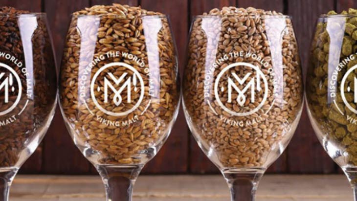 viking malt