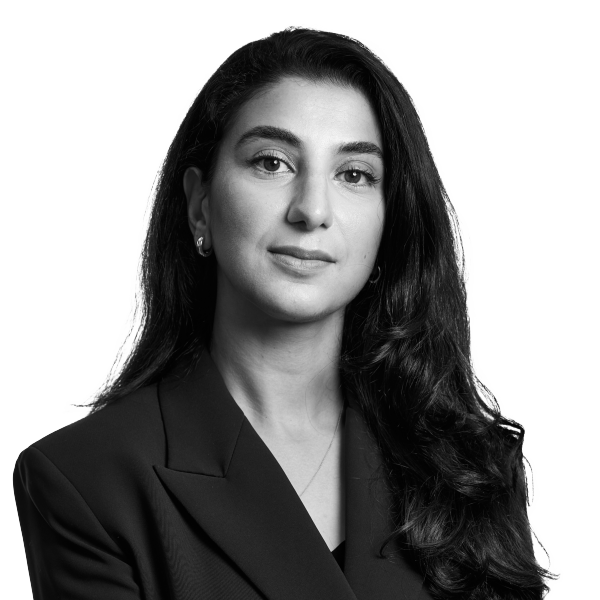 Nebe transparent 2.png