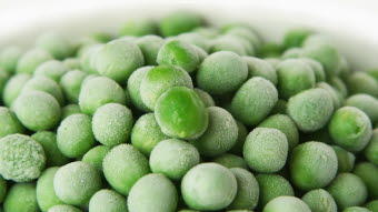 Magnihill-Front-1024x441