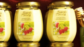bidrottningen honung-1024x441